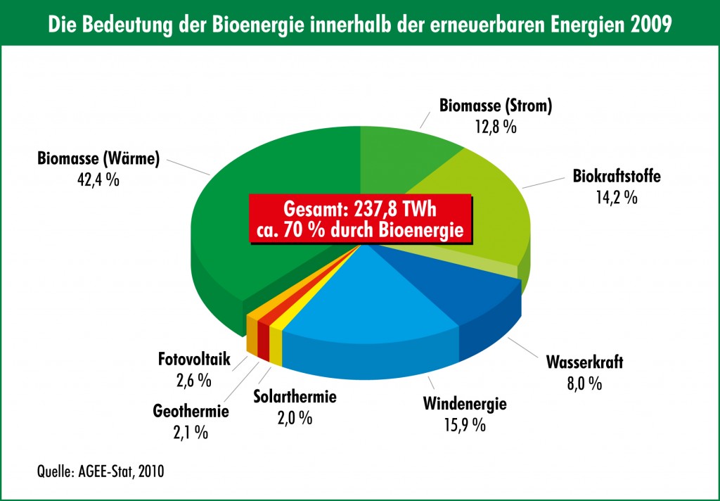 die-bedeutung-der-bioenergie-innerhab-der-erneuerbaren-energien-2009